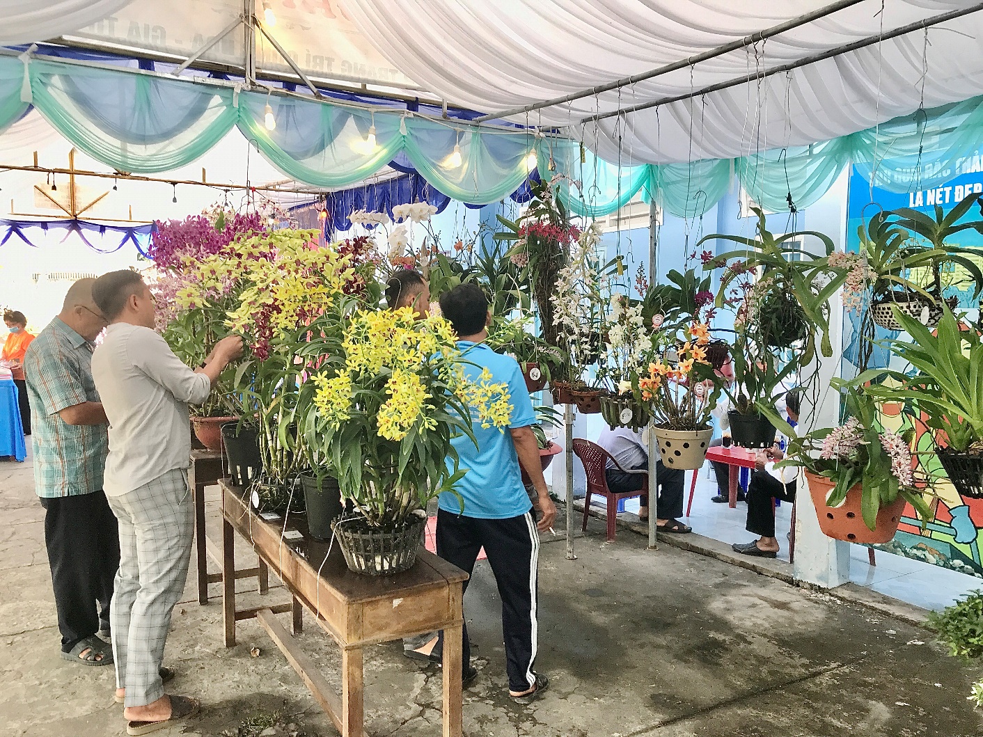 Vai trò của Hội Sinh vật cảnh xã trong bối cảnh sáp nhập đơn vị hành chính